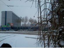 2012-12-18 11.37.05.jpg