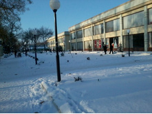 2012-12-19 15.39.50.jpg