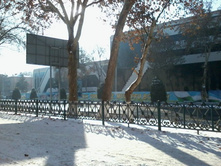 2012-12-20 14.05.47.jpg