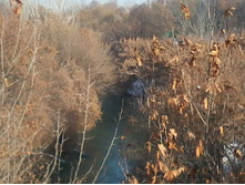 2012-12-20 14.12.50.jpg