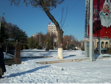 2012-12-20 14.24.59.jpg