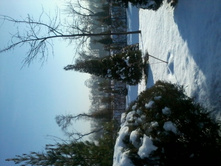 2012-12-20 14.29.46.jpg