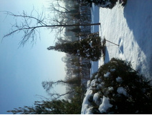 2012-12-20 14.29.49.jpg