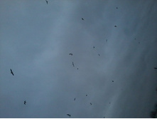 2012-12-23 10.33.55.jpg