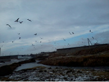 2012-12-23 10.37.50.jpg