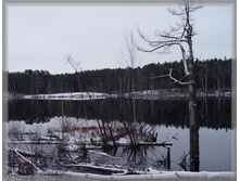 ������ 8.jpg