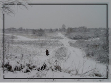 ������ 11.jpg