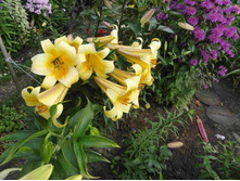 ����� ������ ��������.