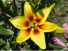 ����� ���� ���.JPG