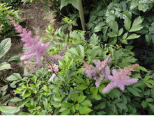 �������� 8.JPG