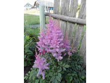 �������� ������� 1.JPG