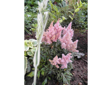 �������� ������ ������.JPG