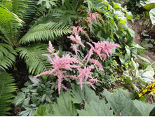 �������� ���������� ����.JPG