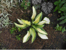 ����� ����� ��������.JPG