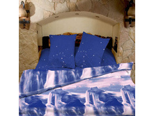 ���� ����