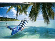 ���. 8309 Paradise Island  ������: 368*254 ��    20,2����