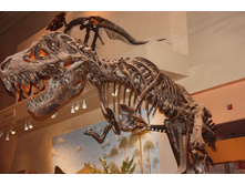 ����� ��������������2.JPG