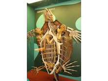 ����� ��������������4.JPG