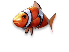 clownfish5.png