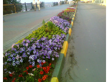 �-��������