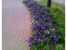 ��. ��������� �������� 2