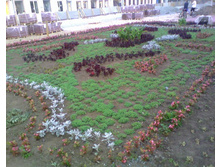 ���� �����