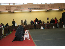 23 ������� 29012 �������� 039.jpg