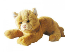 ����� ���������� (�����) JC-573BT 25,5�� -435,00.jpg