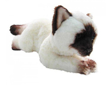 ����� �������� (�����) JC-590 19�� - 305,00.jpg