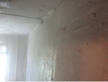 ����������� 208.jpg