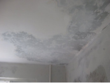 ����������� 204.jpg