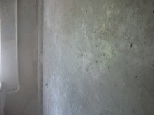 ����������� 209.jpg