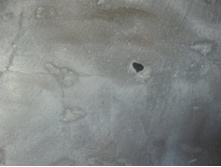 ����������� 296.jpg