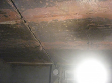 ����������� 280.jpg