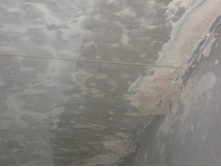 ����������� 262.jpg