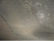 ����������� 215.jpg