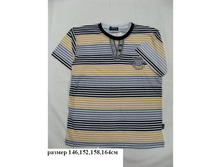 170 ���-����.���������.JPG