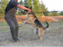������ 2012-1 195257.jpg