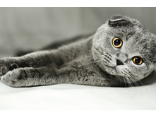 ���� 00060.jpg