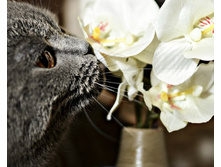 ���� 00100.jpg