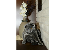 ���� 00111.jpg