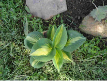 ����� ���..JPG