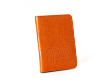 137 �����.JPG