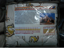 ������ ��������� ������