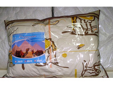 ������� ��������� ������