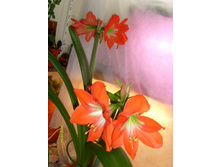 ���� 2������.JPG