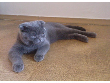 �� ����� � �� ������ ��������...