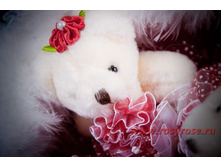 B040 (������ ����� - �������� ����� ����� � ���������)