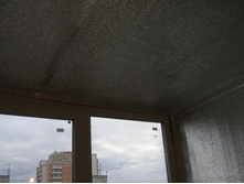 ������������� ���