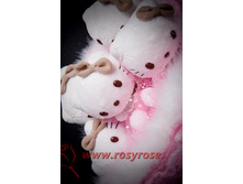 K009 (������� ������ - ����� ����� �������� �������)